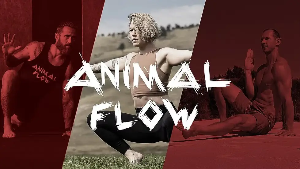 Affiche : Stage Animal Flow