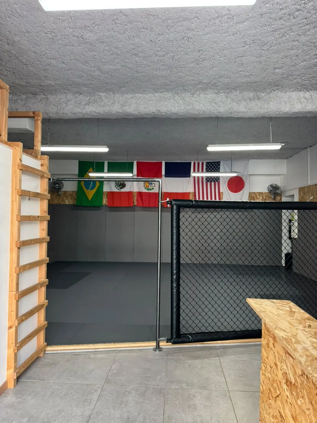 Le tatami et la cage du club de Confluence, drapeaux au mur