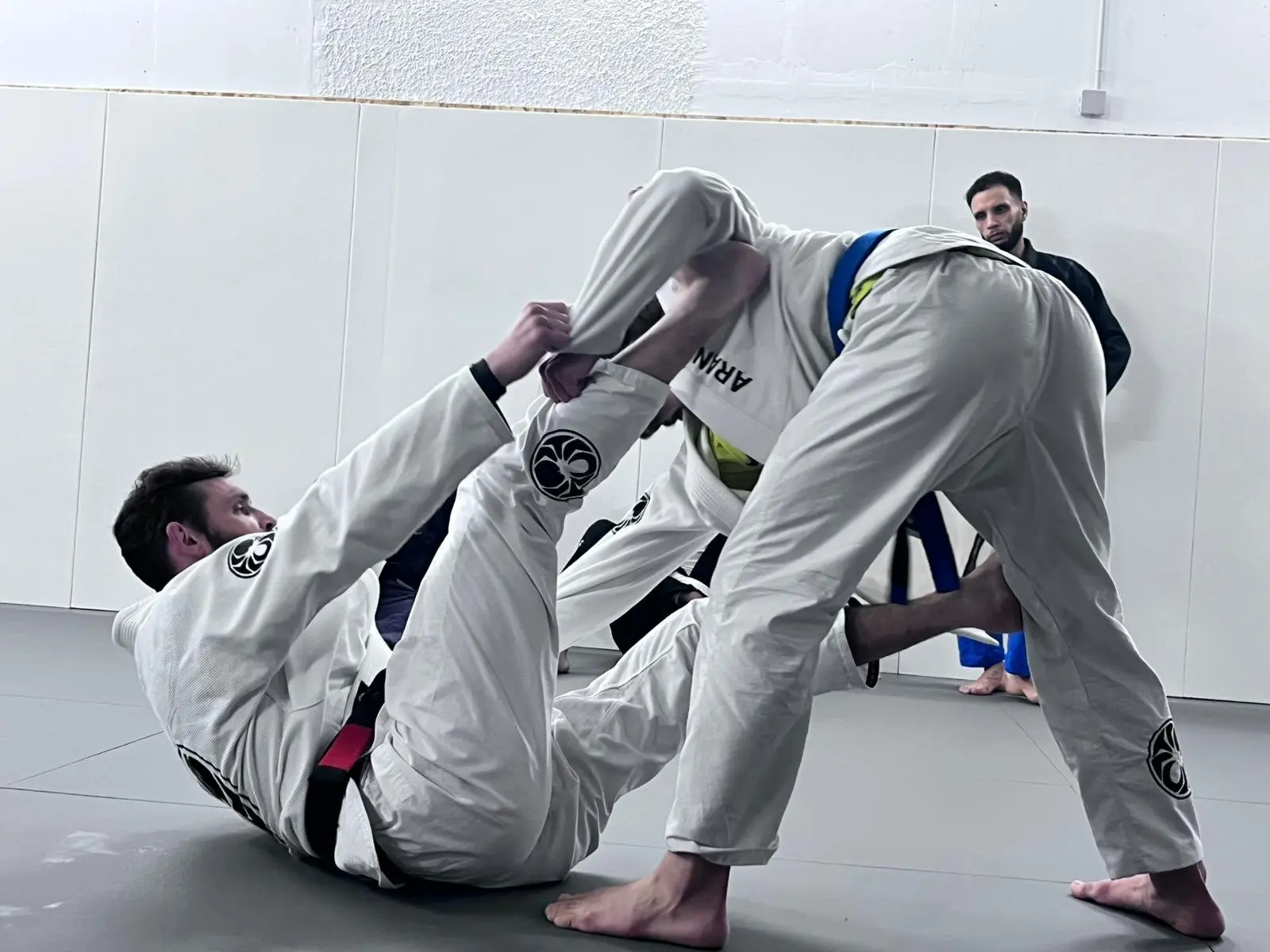 Cours de jiu-jitsu brésilien chez Aranha Lyon